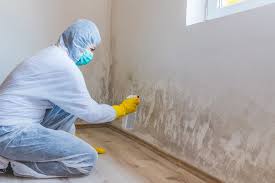 Why You Should Choose Our Mold Remediation Services in Fort Lee, NJ